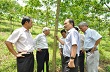 Phấn đấu đưa Quảng Nam thành “thủ phủ” cao su miền Trung  